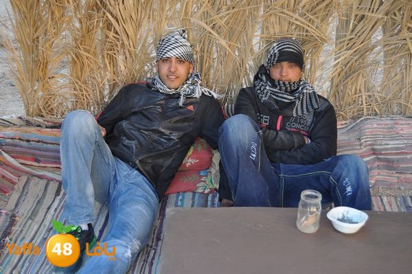 sharmelskhe8634 (47).jpg